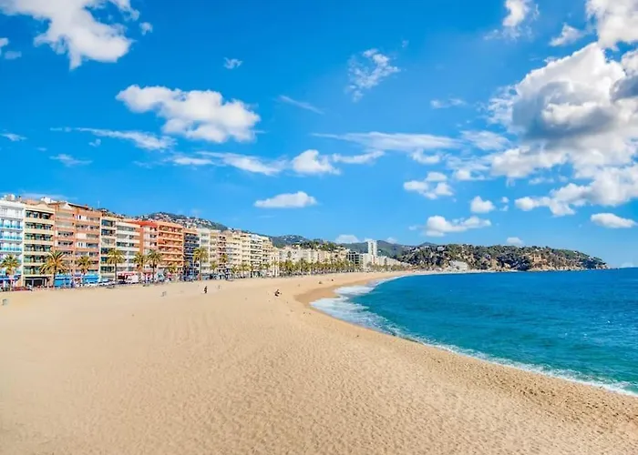 Apartamento Precioso En Segunda Línea De Mar